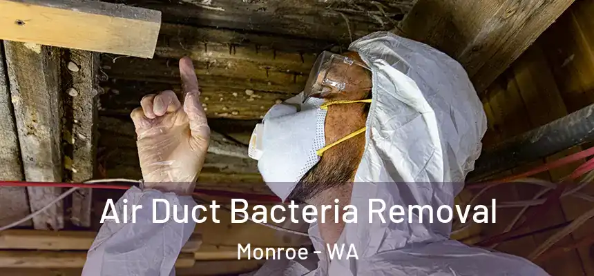  Air Duct Bacteria Removal Monroe - WA