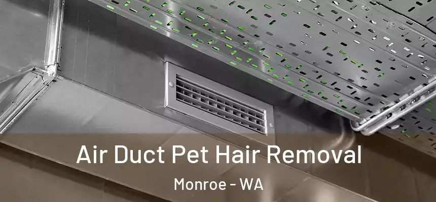  Air Duct Pet Hair Removal Monroe - WA