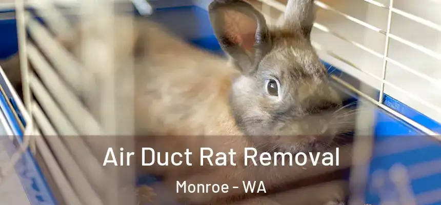  Air Duct Rat Removal Monroe - WA