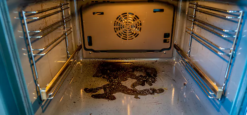 Our Dryer Vent Mold Cleaning Services in Monroe, WA