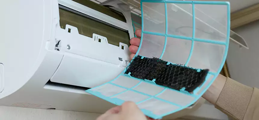 Gentle Ductwork Odor-Control Pet Dander Duct Cleaning in Monroe, WA