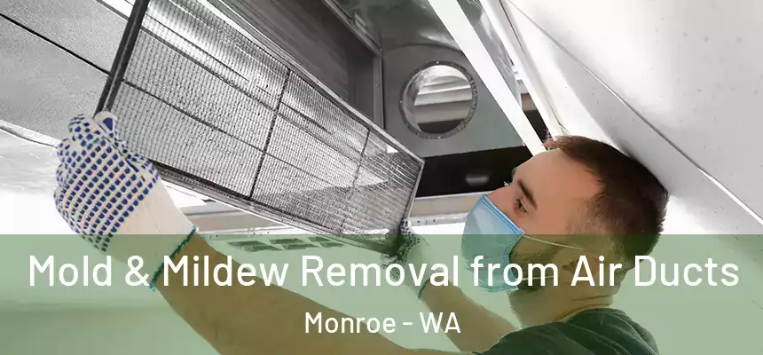  Mold & Mildew Removal from Air Ducts Monroe - WA