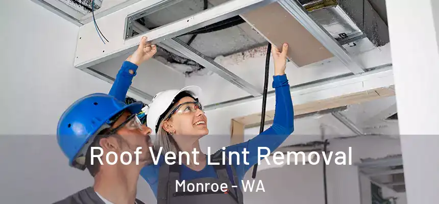  Roof Vent Lint Removal Monroe - WA