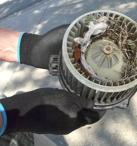 About Air Duct Mice Removal in Monroe, WA