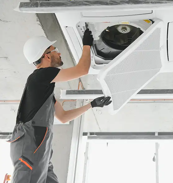 About Air Duct Rodent Removal in Monroe, WA