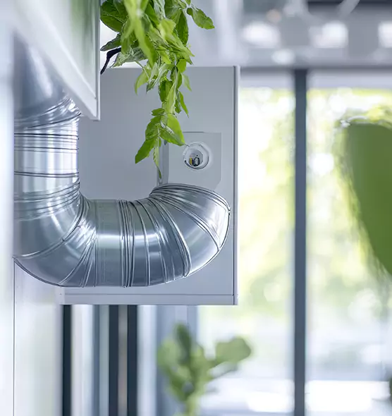 Professional Eco-Safe Dryer Vent Cleaning in Monroe, WA