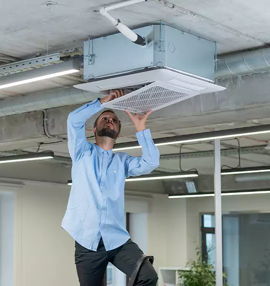 Advanced Rodent Droppings In Vents in Monroe, WA