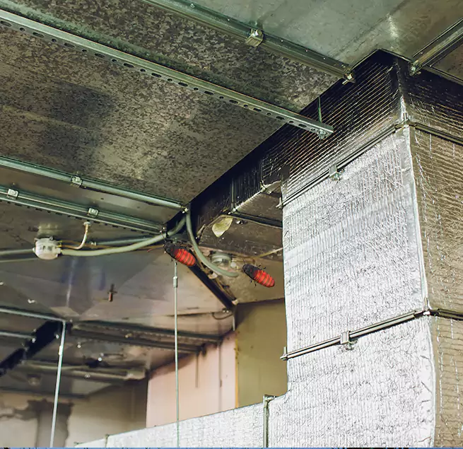 Why Homeowners & Businesses Trust Us in Monroe, WA?