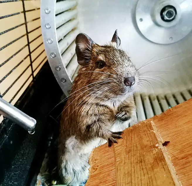 Why Homeowners & Businesses Trust Us Monroe, WA